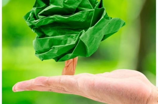 Dia Mundial do Meio Ambiente